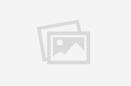 Digifest Oman in Muscat